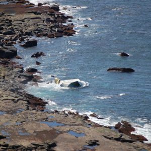 Containers lost overboard from the ship APL England washed up at Bateau Bay NSW