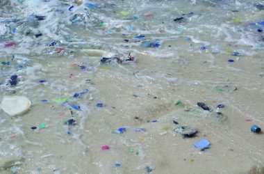 Life’s a beach: finding trends in marine debris across Australia