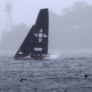 Race leader Noakesailing and seagulls had the harbour for themselves