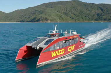 Wildcat Mackay Hailed Australia’s Best New Tourism Business