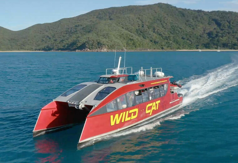 Wildcat Mackay Hailed Australia’s Best New Tourism Business